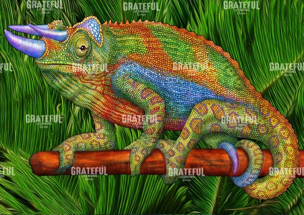 Chameleon with Horns
