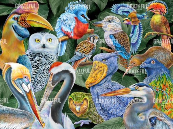 Birds of the World