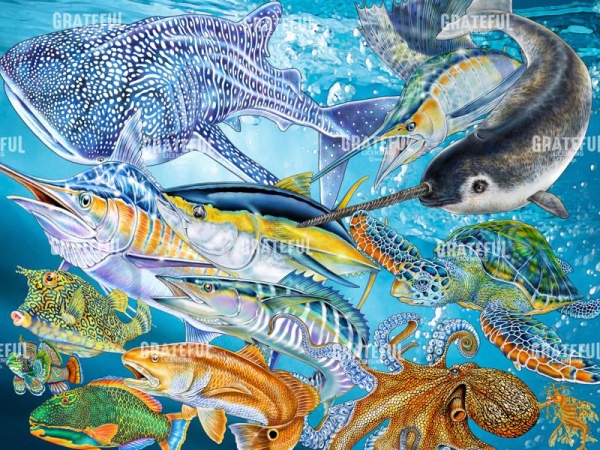 Sea Life of the World