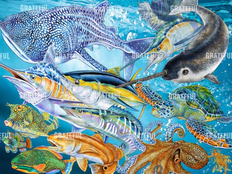 Sea Life of the World
