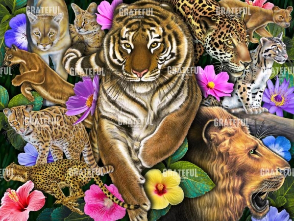 Wild Cats & Flowers