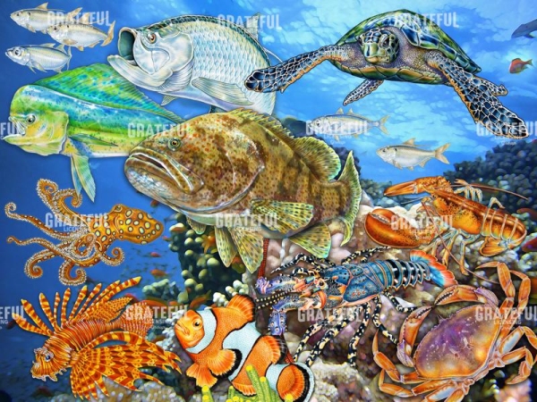 Sea Life of the World 2