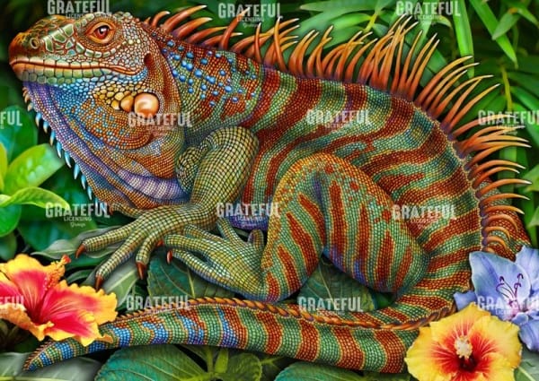 Iguana