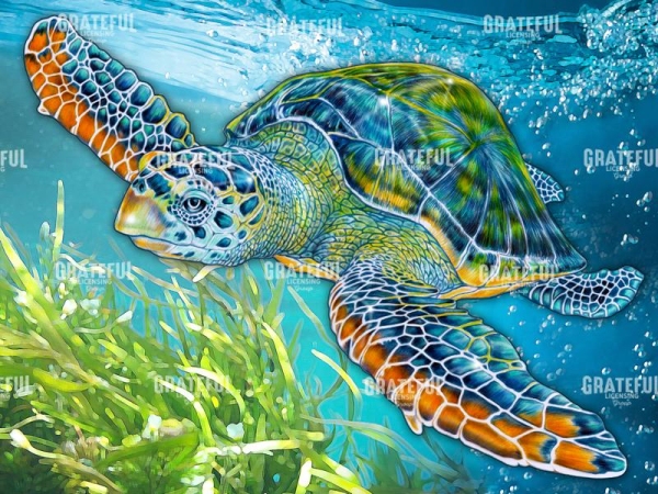 Sea Turtle