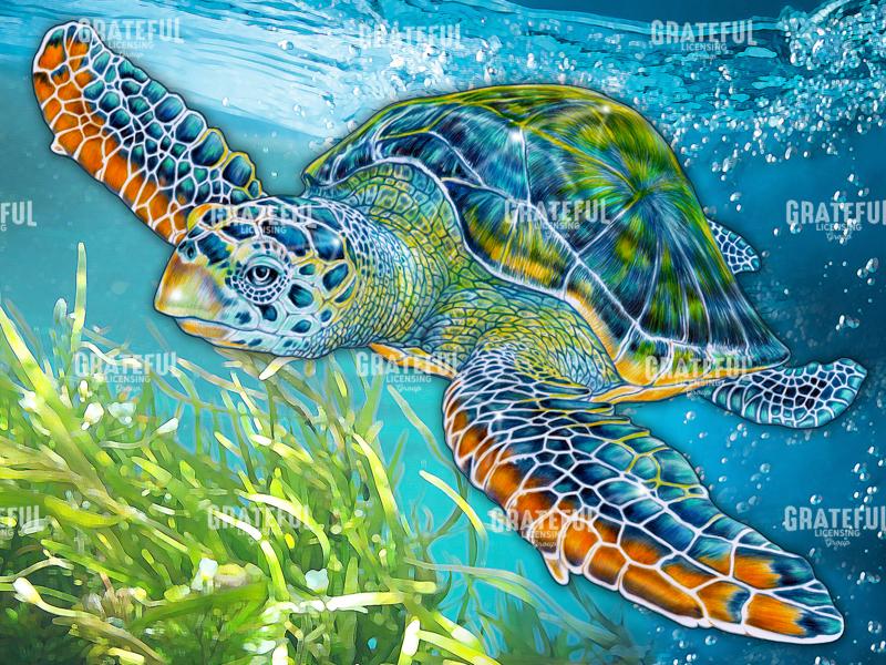 Sea Turtle
