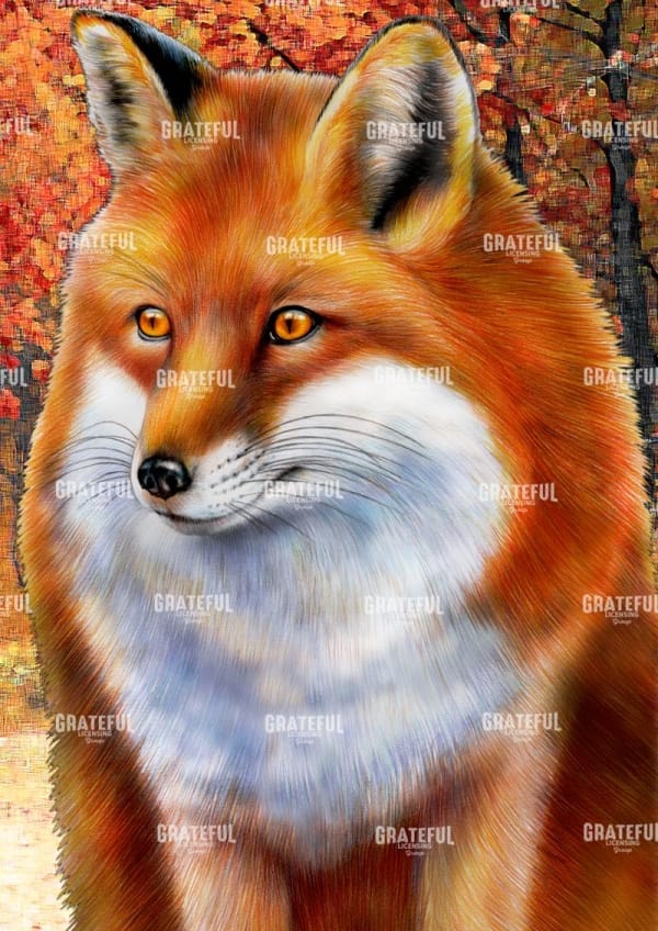 Red Fox