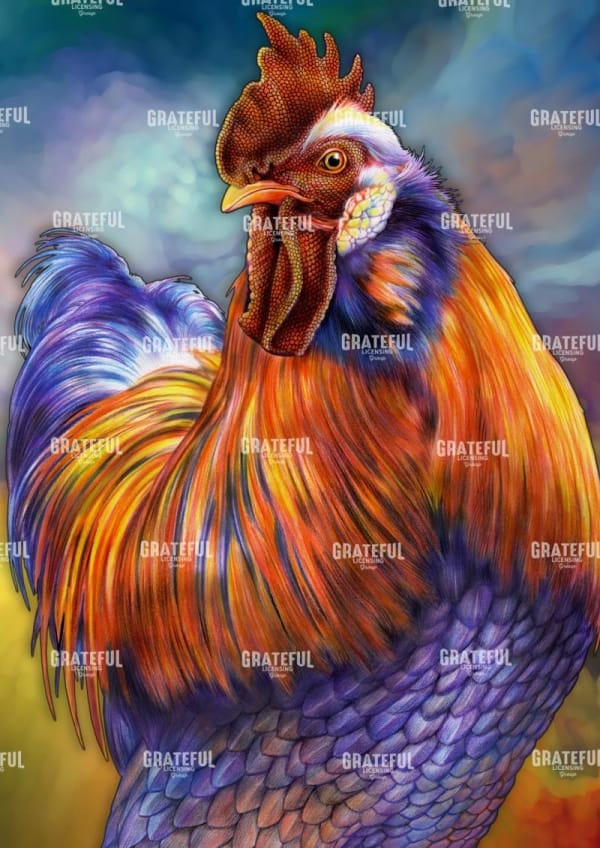 Rooster
