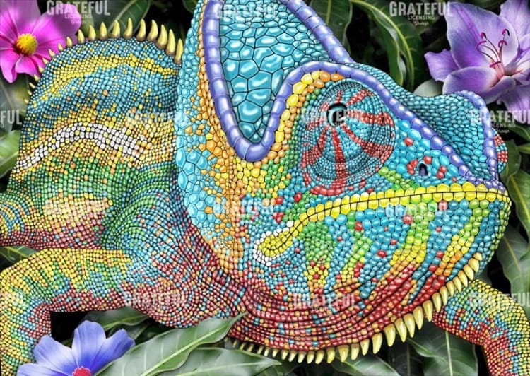 Chameleon 2
