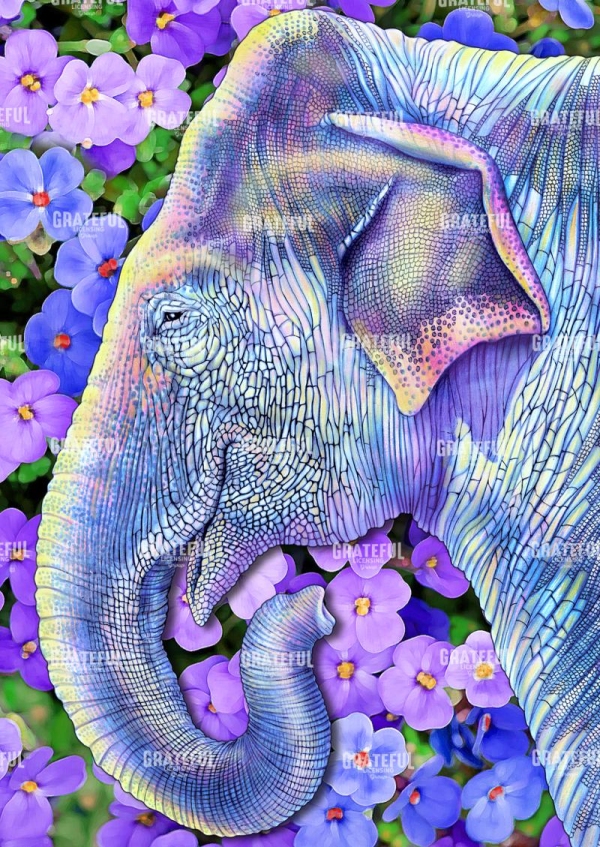 Asian Elephant