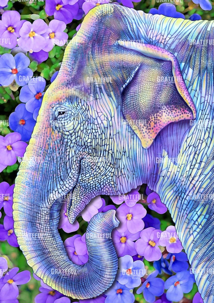 Asian Elephant