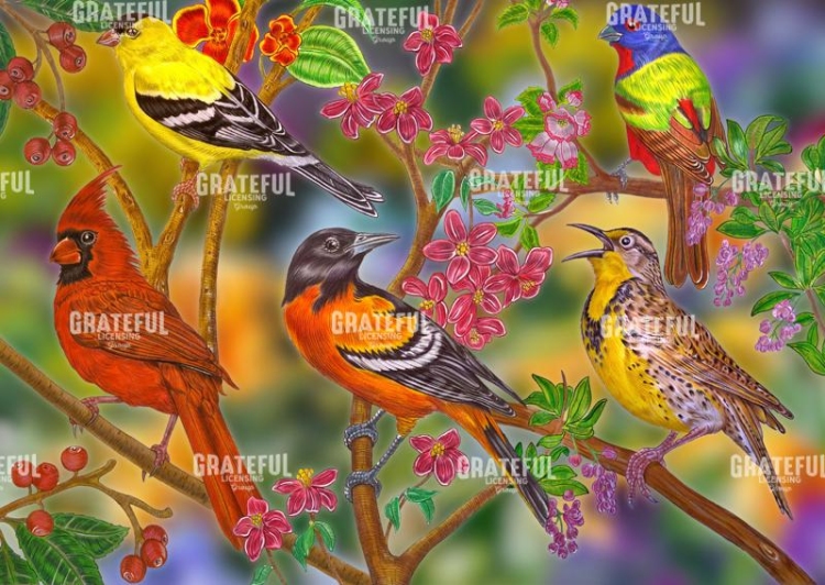 Song Birds Collage