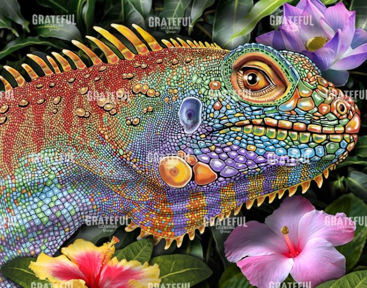 Iguana 2