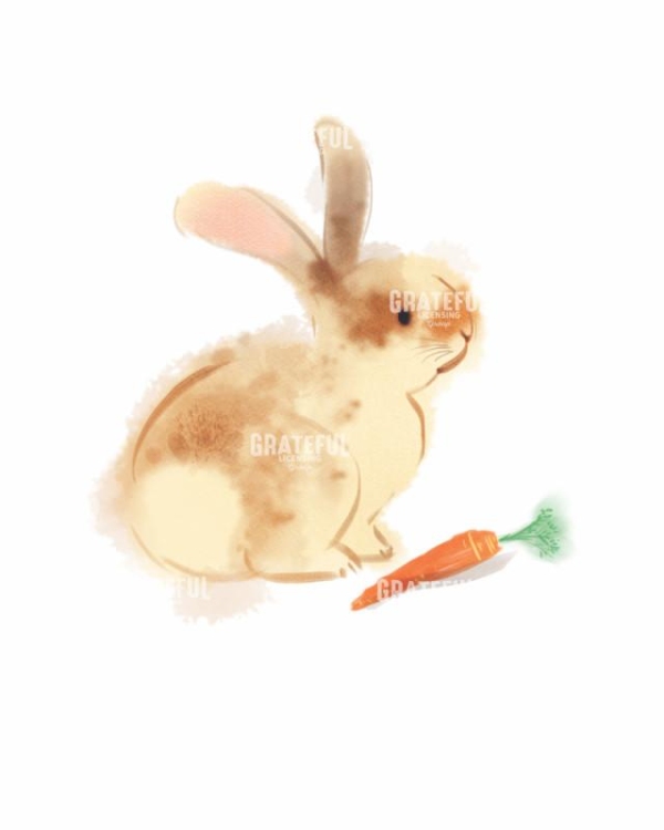 Cottontail