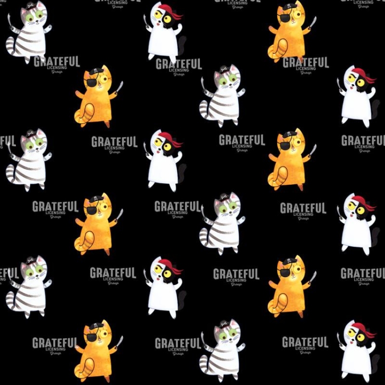 Pirate Cat Pattern