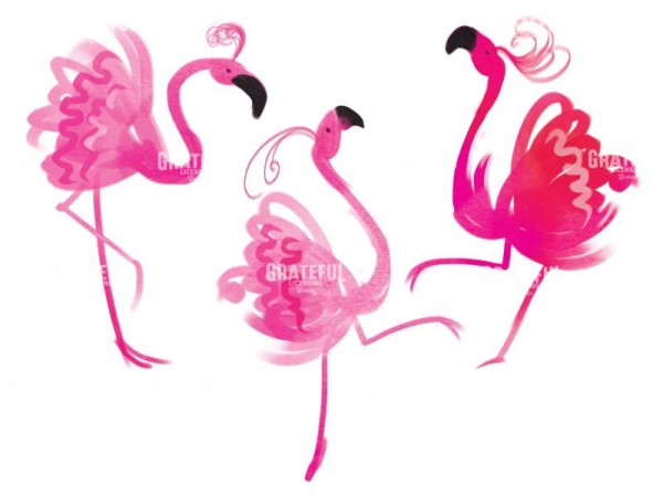 Flamingo Dancers 3