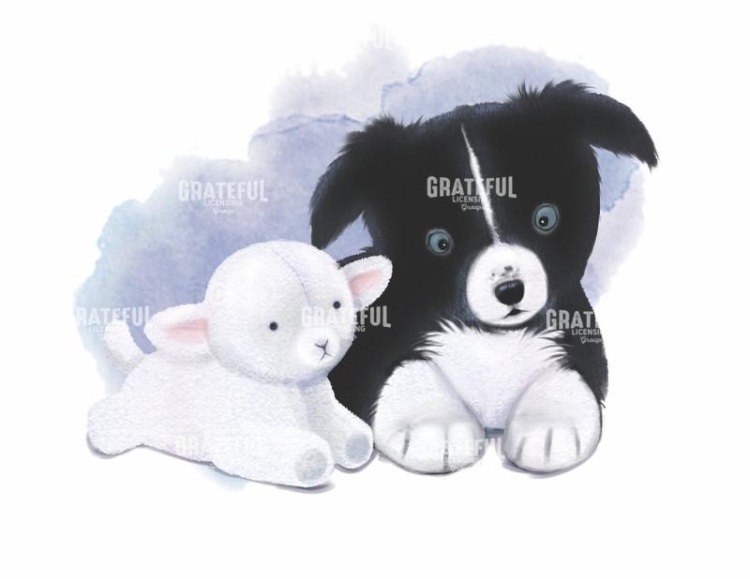 Collie Lamb