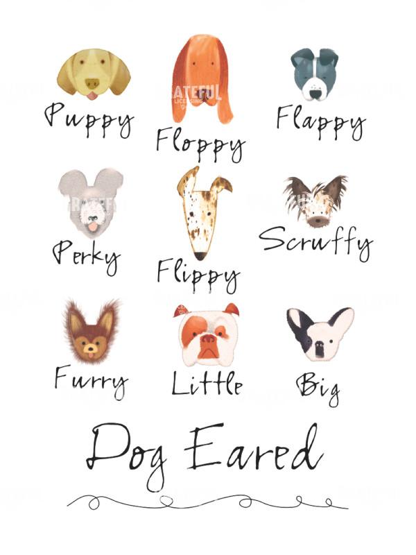 Dog Eared