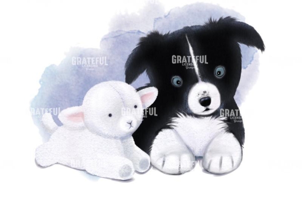 Best Collie Lamb