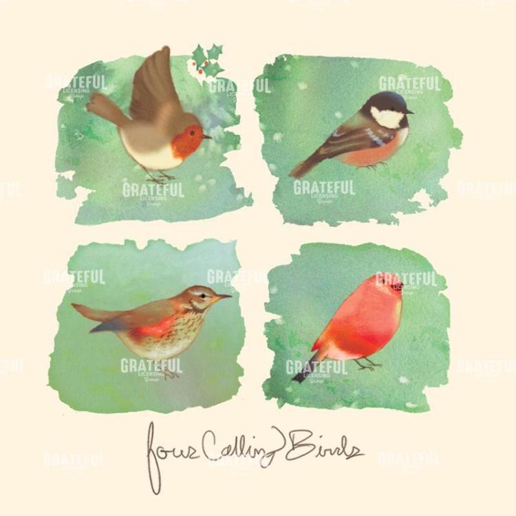 Calling Birds