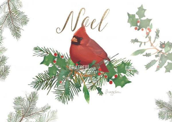 Noel Cardinal