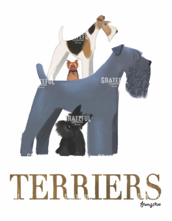 Terriers