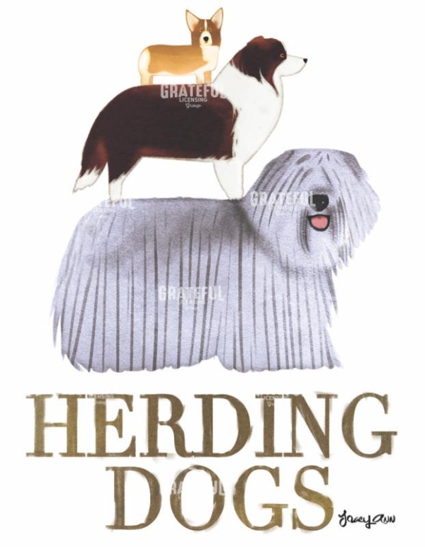 Herding