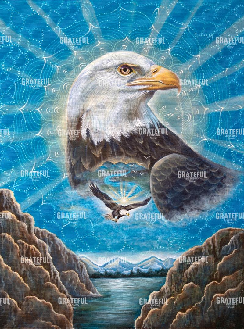 Bald Eagle Medicine