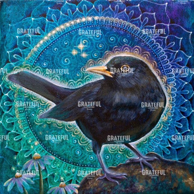 Blackbird