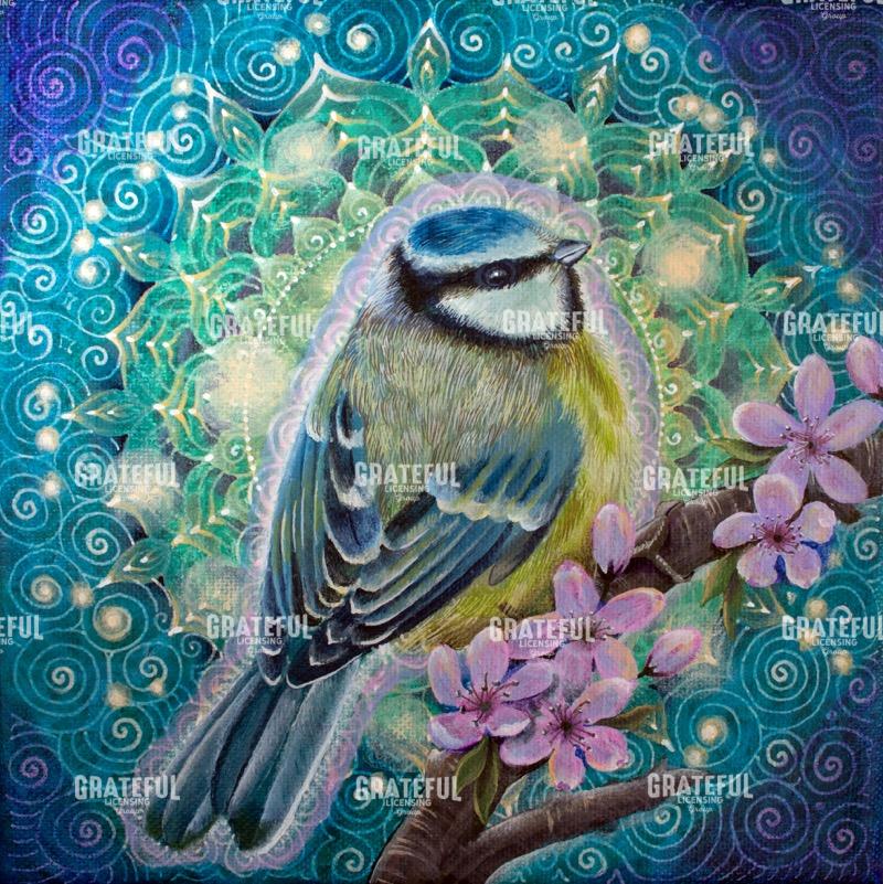 Blue Tit