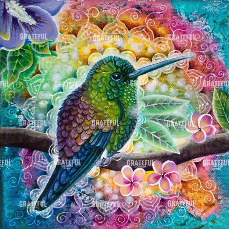 Colors of Joy