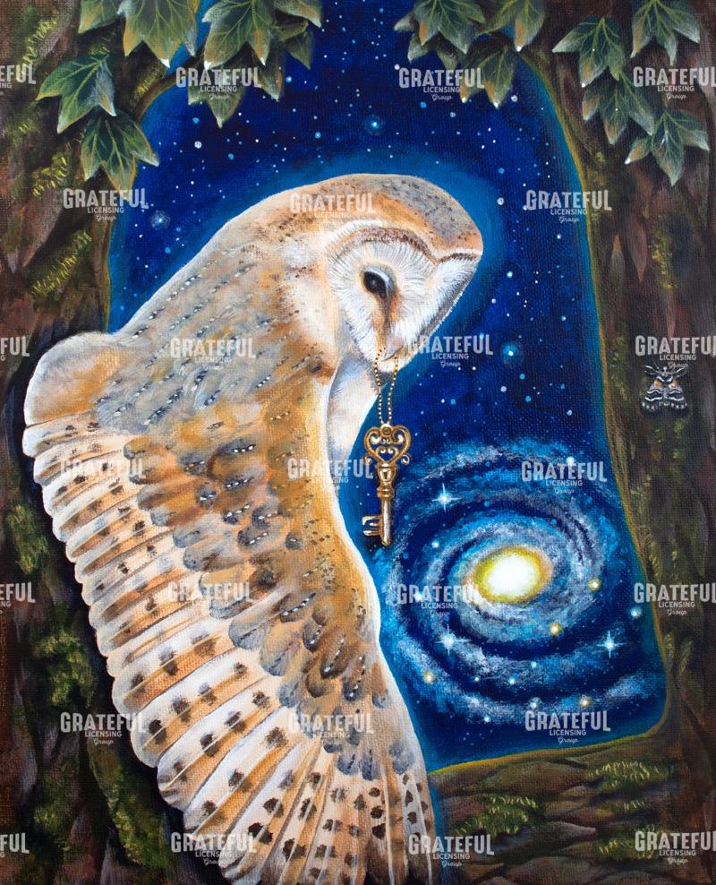 Looking Behind the Veil