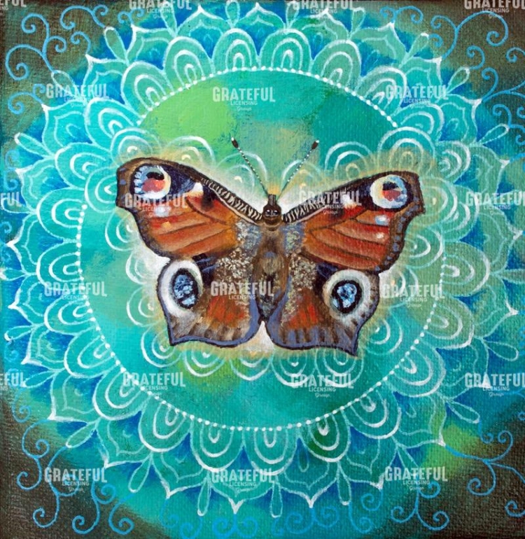 Peacock Butterfly