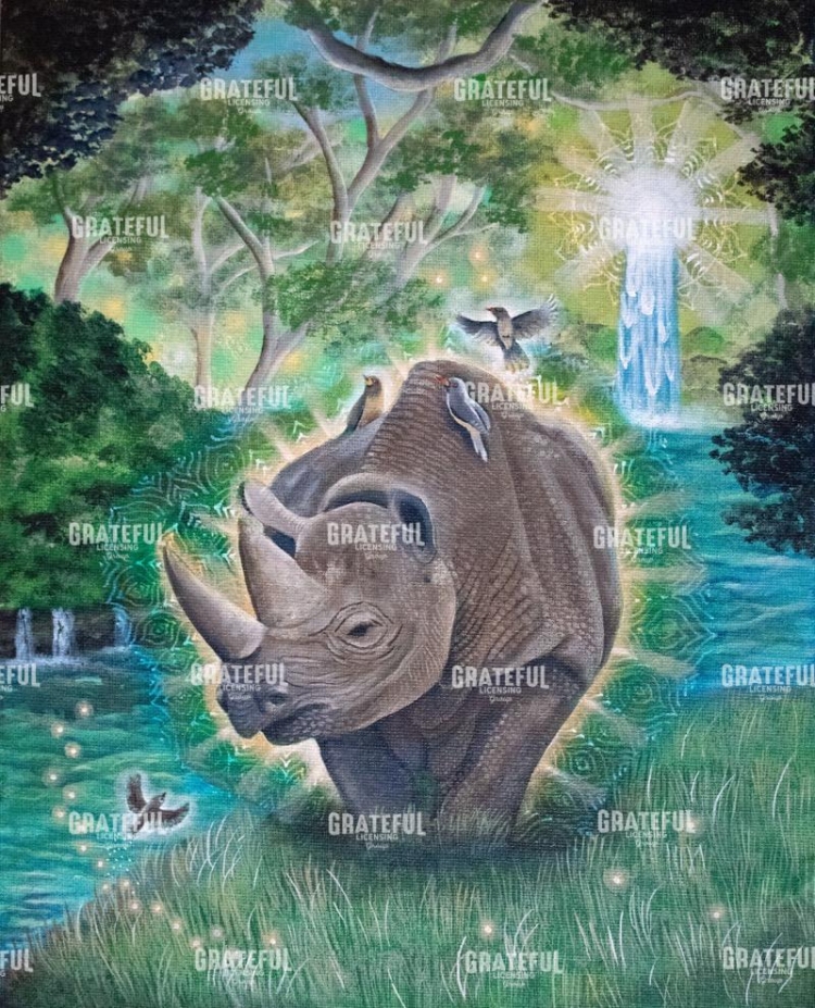 Rhinoceros Medicine