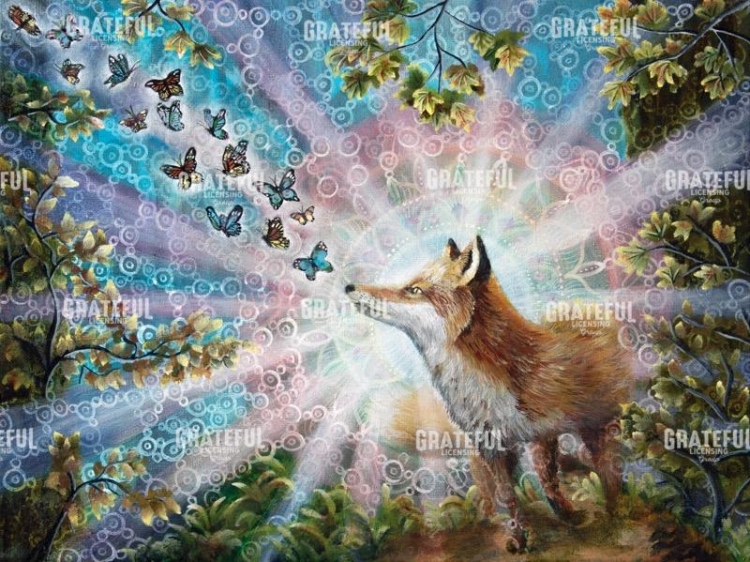 Sacred Curiosity