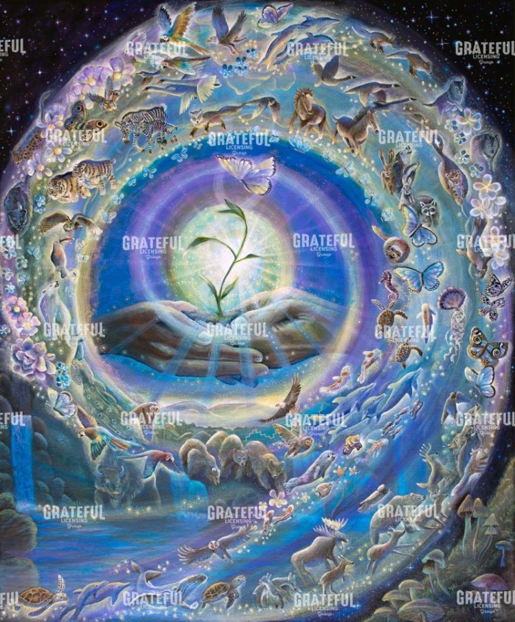 Spiral of Creation