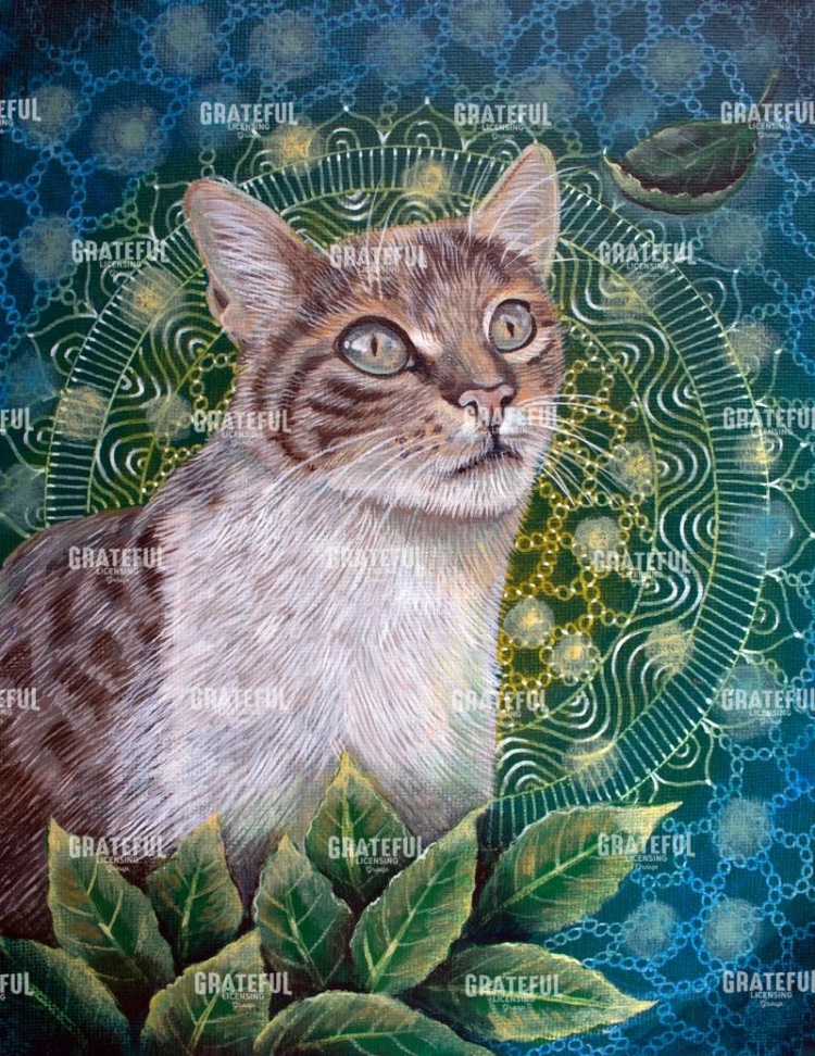 Cats of Istanbul #2