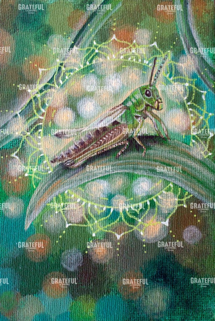 Grashopper