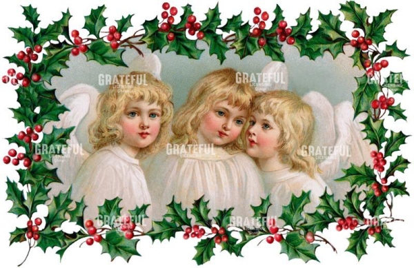 Angels holly