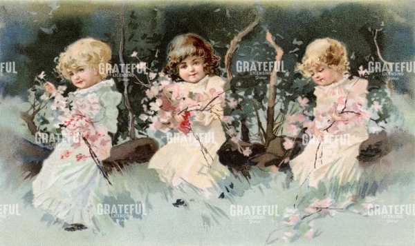 3 Little Girls