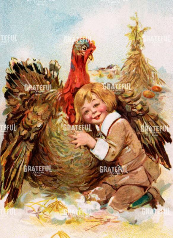 Turkey with Boy