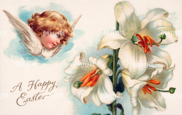 Easter Lilies