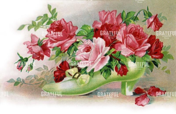 roses in shoe