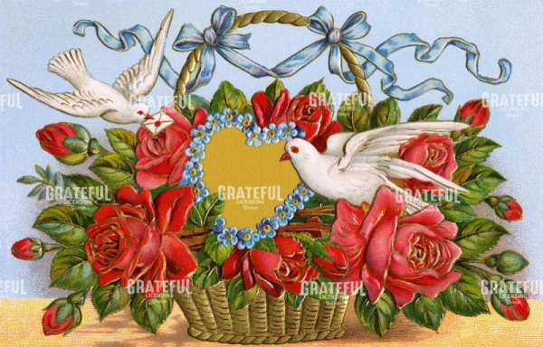 Love Doves