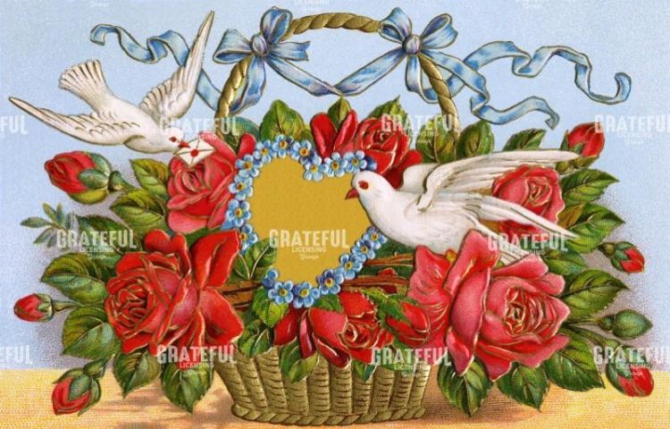 Love Doves