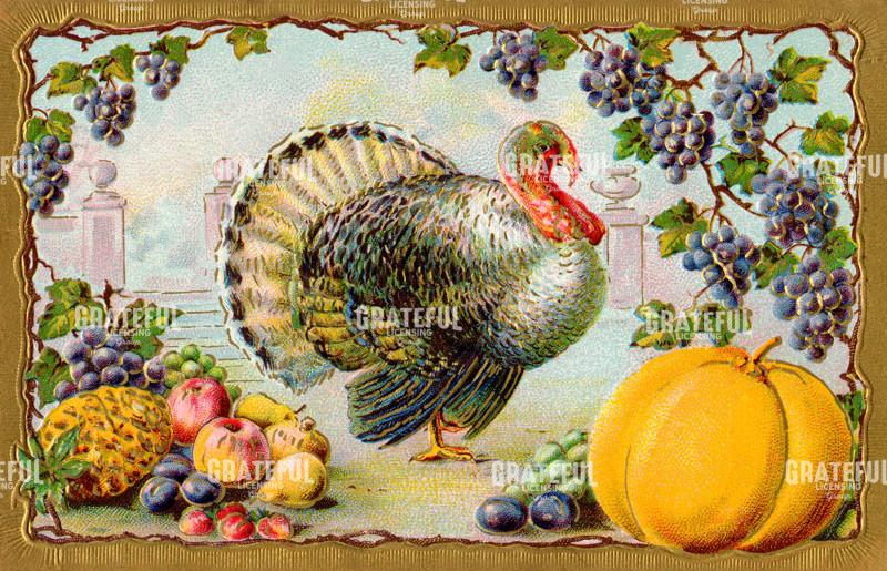 Vintage Turkey