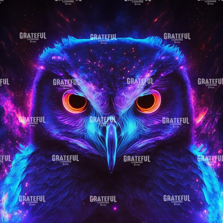 Owl (2)