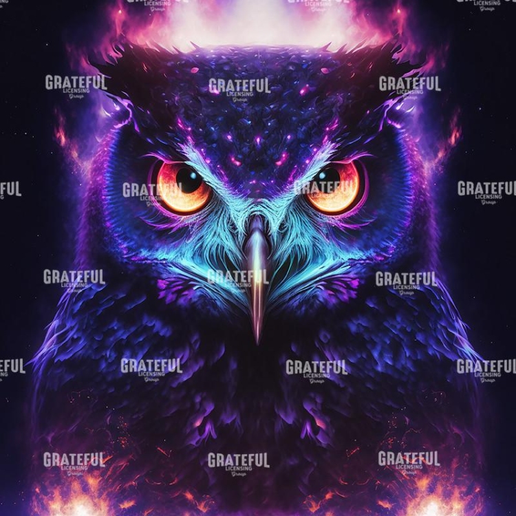 Owl (6)