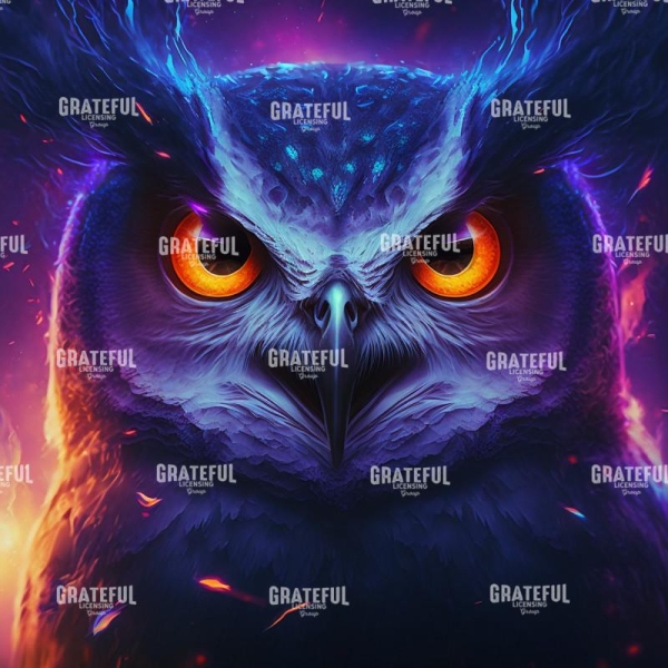 Owl (7)
