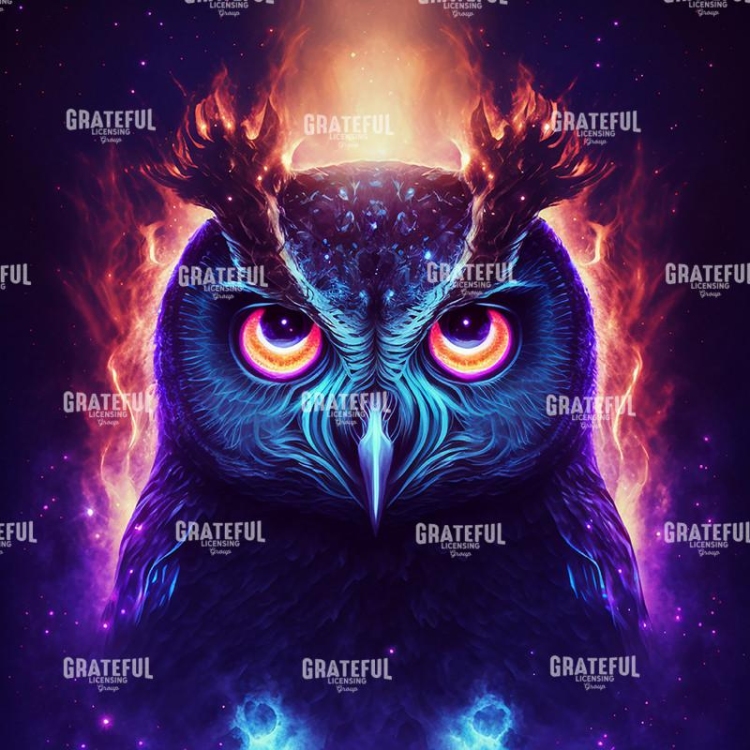 Owl (11)