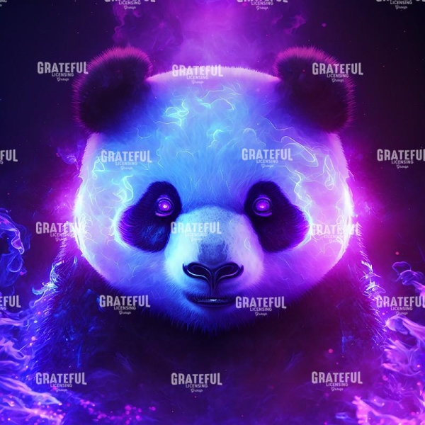 Panda (2)